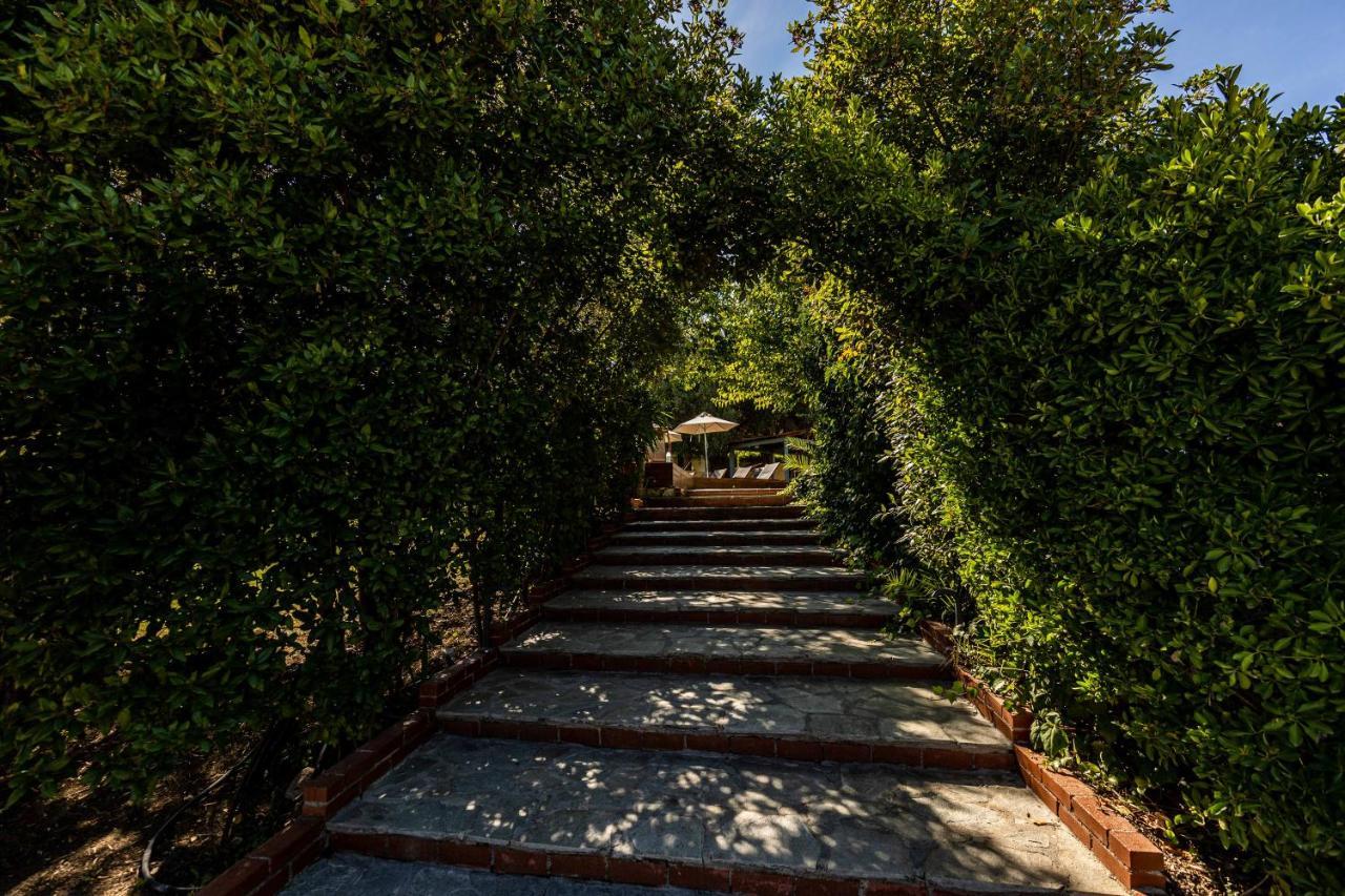 Casa Luxury Suites Paliouri Dış mekan fotoğraf
