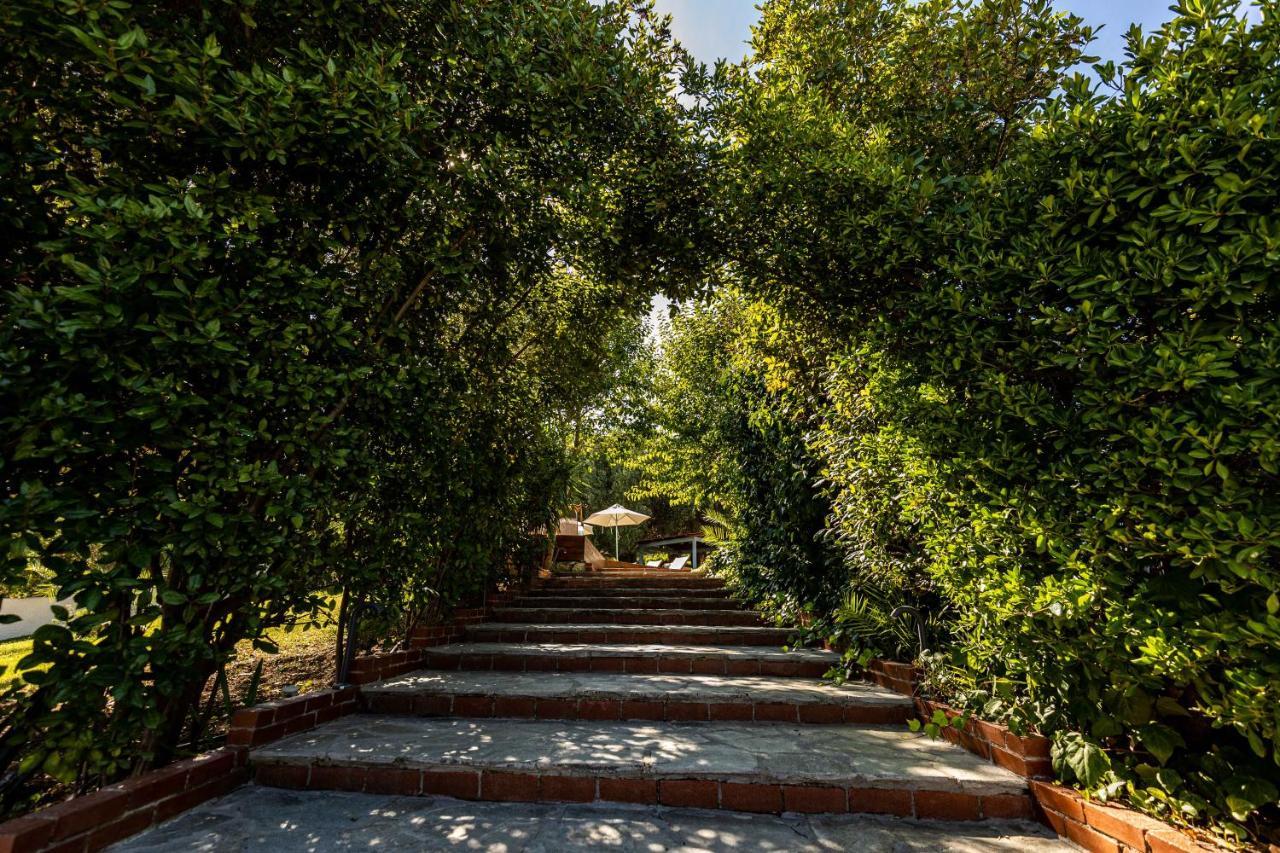 Casa Luxury Suites Paliouri Dış mekan fotoğraf
